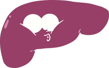 Bir insan tarafından çizilmiş yassı renkli karaciğer