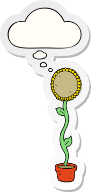 Düşünce baloncuğu insan tarafından çizilmiş bir çıkartma olan ayçiçeği çizgi filmi.