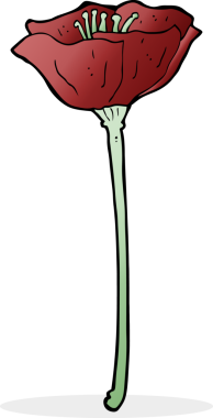 Bir insan tarafından çizilmiş gelincik.