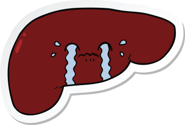 Bir insan tarafından çizilmiş karaciğerin çıkartması.