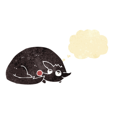 Bir insan tarafından çizilmiş düşünce balonuyla kıvrılmış bir köpek.