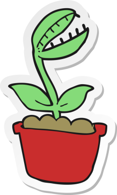 Bir insan tarafından çizilmiş Venüs sinek kapanı çıkartması.