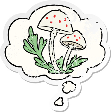 Düşünce baloncuklu mantarlar insan tarafından çizilmiş yıpranmış bir çıkartma.