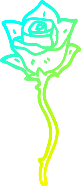 Bir insan tarafından çizilen kırmızı gülün soğuk gradyan çizgisi