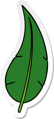 Bir insan tarafından çizilmiş yeşil, uzun bir yaprağın karalaması.