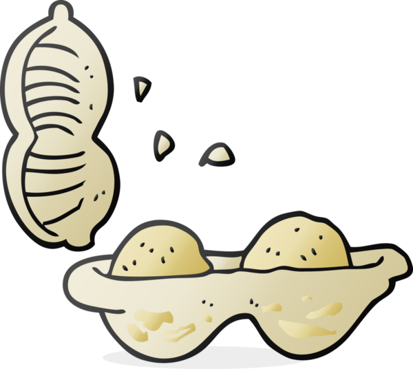 Bir insan tarafından çizilmiş fındık karikatürü.