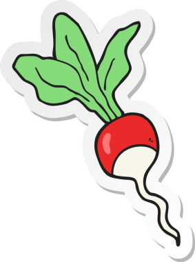 Bir insan tarafından çizilmiş bir turpun çıkartması.