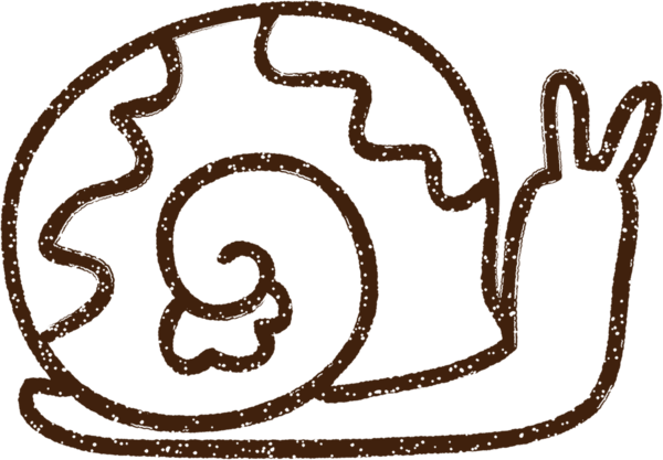 Bir insan tarafından çizilen Salyangoz Kömürü