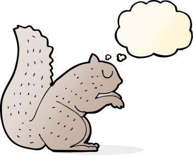Bir insan tarafından çizilmiş düşünce baloncuklu bir sincap.
