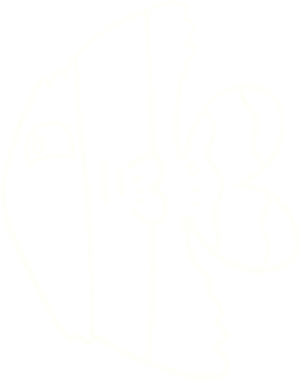 Bir insan tarafından çizilen Melek Balık Tebeşiri