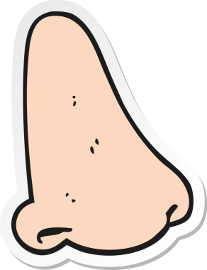 Bir insan tarafından çizilmiş insan burnunun çıkartması.