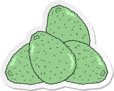 Bir insan tarafından çizilmiş avokado karikatürü çıkartması.