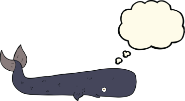 Bir insan tarafından çizilmiş düşünce baloncuklu çizgi film balinası