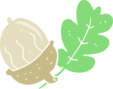 Bir insan tarafından çizilmiş palamutun düz renk çizimi