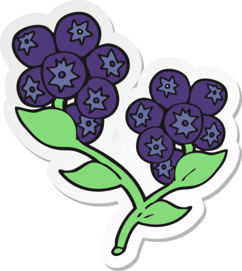 Bir insan tarafından çizilmiş bir karikatür yaban mersini çıkartması.