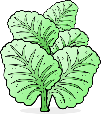 bir insan tarafından çizilmiş lahana yaprakları.