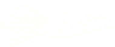 Bir insan tarafından çizilen havuç tebeşiri