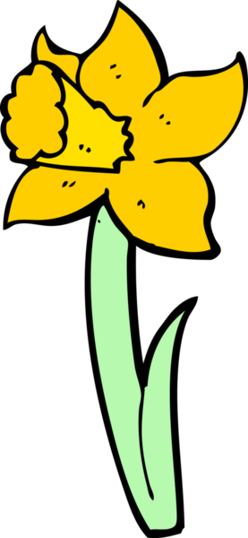 bir insan tarafından çizilmiş nergis.