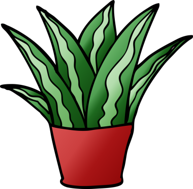 Bir insan tarafından çizilmiş karalama evi bitkisi.