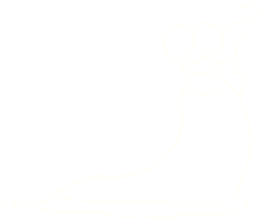 Bir insan tarafından çizilen neşeli sümüklü böcek tebeşiri.