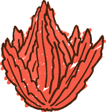 Bir insan tarafından çizilen yosun tebeşiri