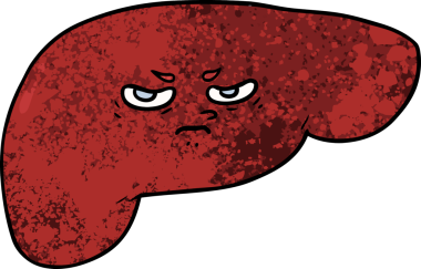 Bir insan tarafından çizilmiş karaciğer.