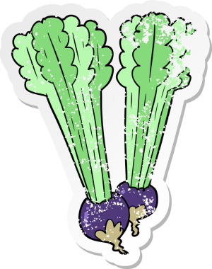 Bir insan tarafından çizilmiş pancar kökünün sıkıntılı çıkartması.