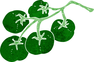 Bir insan tarafından çizilmiş yeşil domatesler