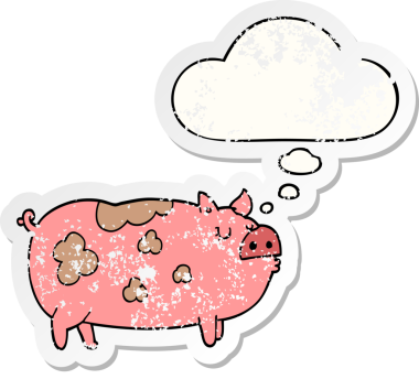 Düşünce baloncuklu çizgi film domuzu bir insan tarafından çizilmiş yıpranmış bir çıkartma.