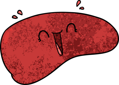 bir insan tarafından çizilmiş sağlıklı karaciğer.