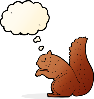 Bir insan tarafından çizilmiş düşünce baloncuklu bir sincap.