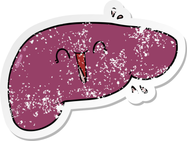 Bir insan tarafından çizilmiş karaciğerin sıkıntılı çıkartması.