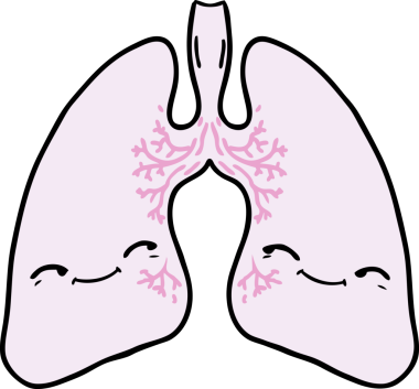 Bir insan tarafından çizilmiş karikatür ciğerleri.