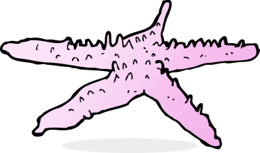 bir insan tarafından çizilmiş bir denizyıldızı.