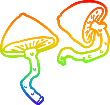 gökkuşağı gradyanı bir insan tarafından çizilmiş vahşi mantarların çizimi