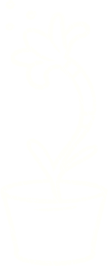 Bir insan tarafından çizilen çiçek tebeşiri