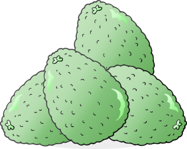 Bir insan tarafından çizilmiş serbest çizim avokadolar.