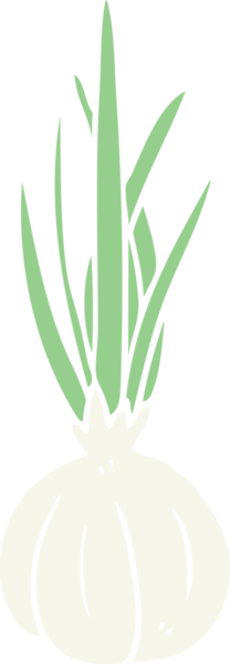 Bir insan tarafından çizilmiş düz renkli sarımsak.