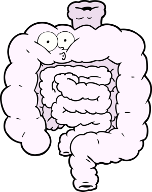 Bir insan tarafından çizilmiş bağırsaklar şaşırtıcıydı.