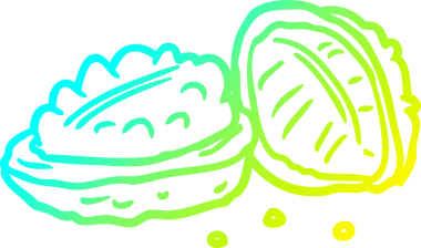 Bir insan tarafından çizilmiş ceviz çizgisi.