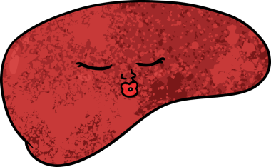 Bir insan tarafından çizilmiş karaciğer.