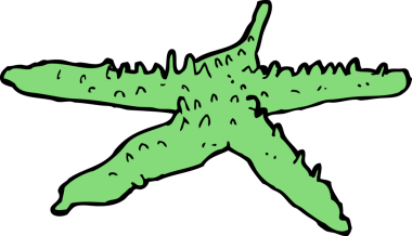 bir insan tarafından çizilmiş bir denizyıldızı.