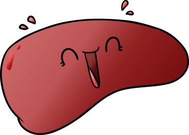 bir insan tarafından çizilmiş sağlıklı karaciğer.