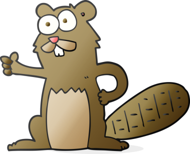 Bir insan tarafından çizilmiş karikatür kunduzu.