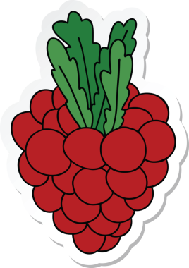 Bir insan tarafından çizilmiş bir demet üzümün garip el yazısı.