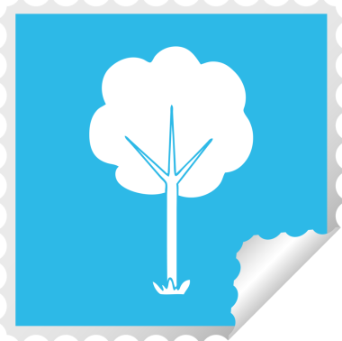 Bir insan tarafından çizilmiş kare soyulmuş tuhaf çizgi film ağacı.