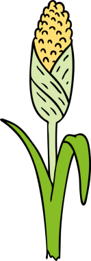 Bir insanın çizdiği koçandaki taze mısırın el çizimi karikatürü.