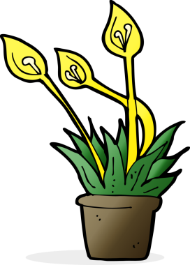 bir insan tarafından çizilmiş çizgi film orkidesi