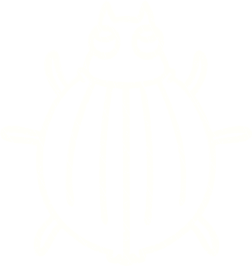 Bir insan tarafından çizilen Böcek Tebeşiri