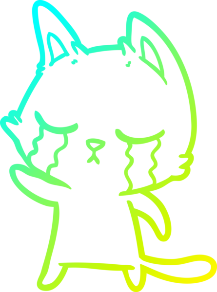 Ağlayan bir çizgi film kedisinin insan tarafından çizilmiş soğuk eğim çizgisi.